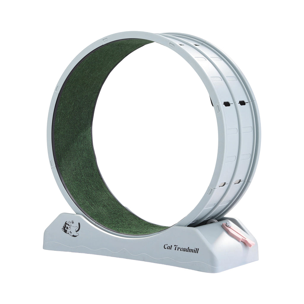i.Pet Cat Exercise Wheel, 78 cm, Blue & Green