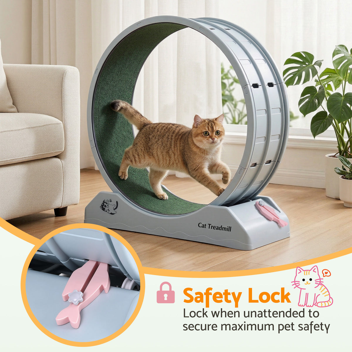 i.Pet Cat Exercise Wheel, 78 cm, Blue & Green