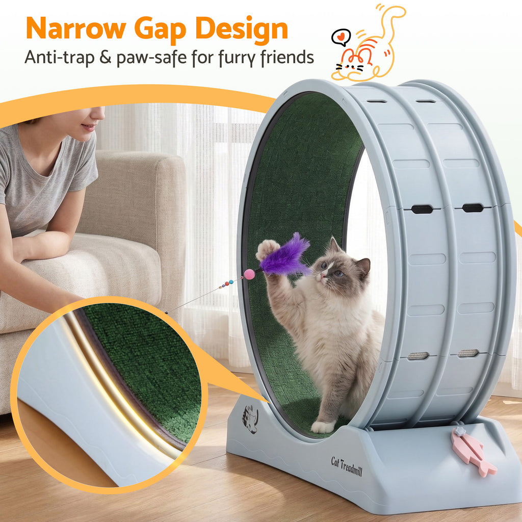 i.Pet Cat Exercise Wheel, 78 cm, Blue & Green