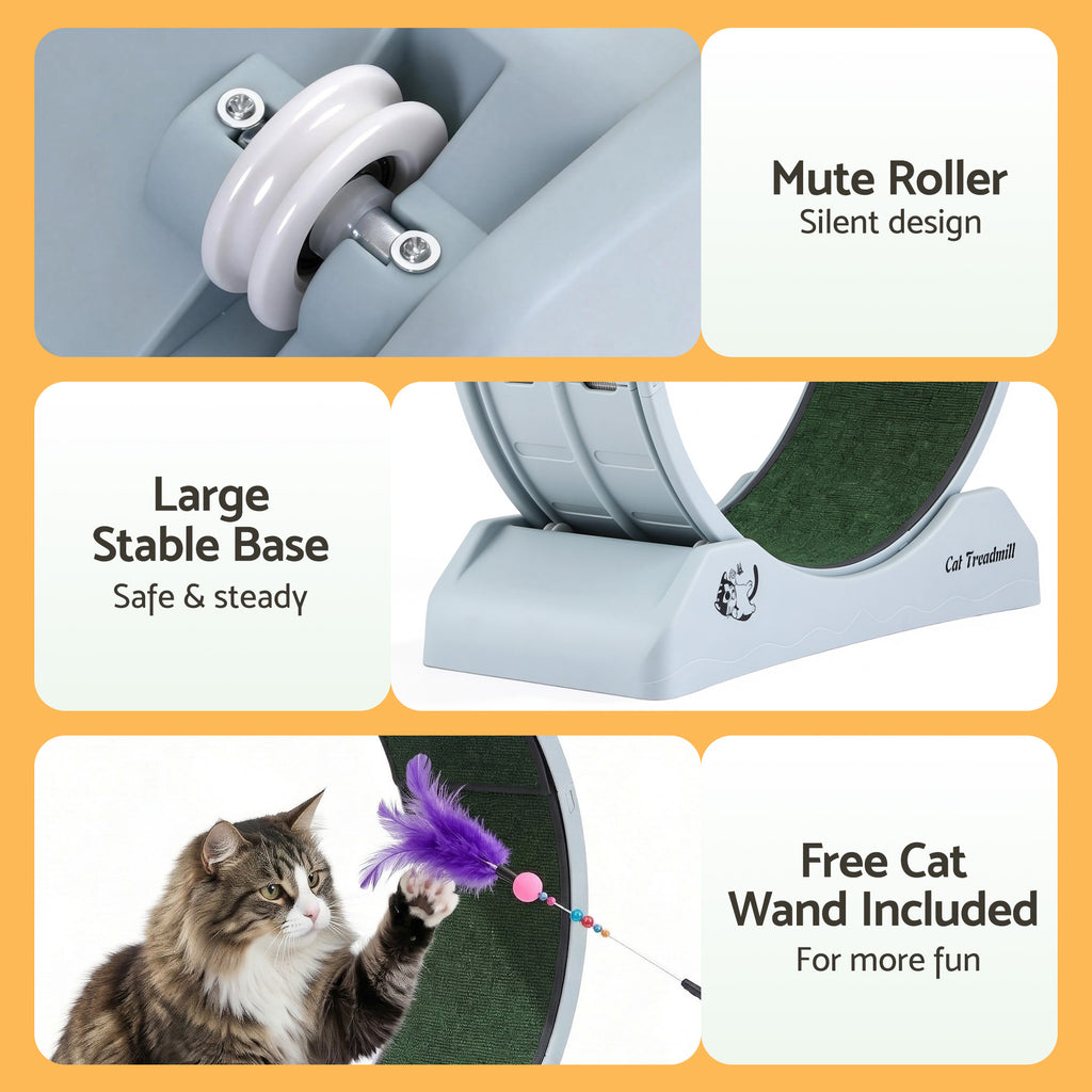 i.Pet Cat Exercise Wheel, 78 cm, Blue & Green