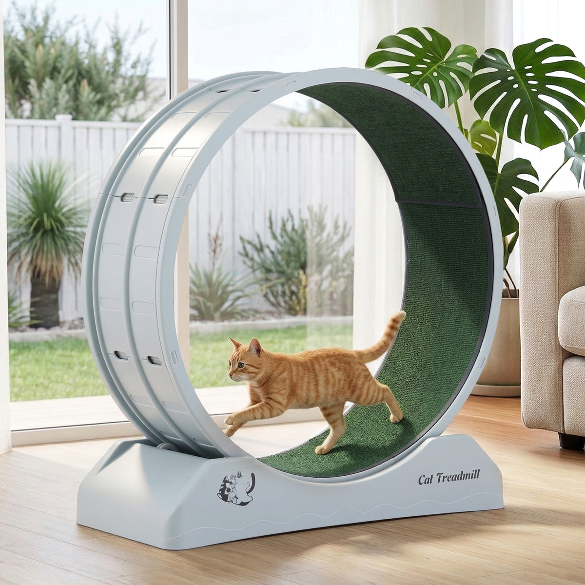i.Pet Cat Exercise Wheel, 78 cm, Blue & Green