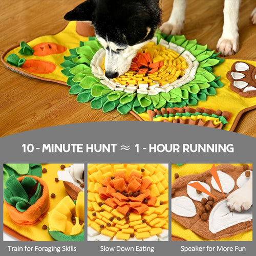 CARLA HOME Snuffle Mat for Dogs