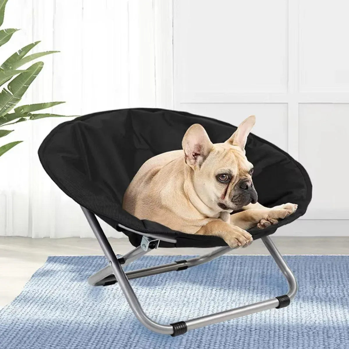 Folding Pet Bed Chair, Round, Grey