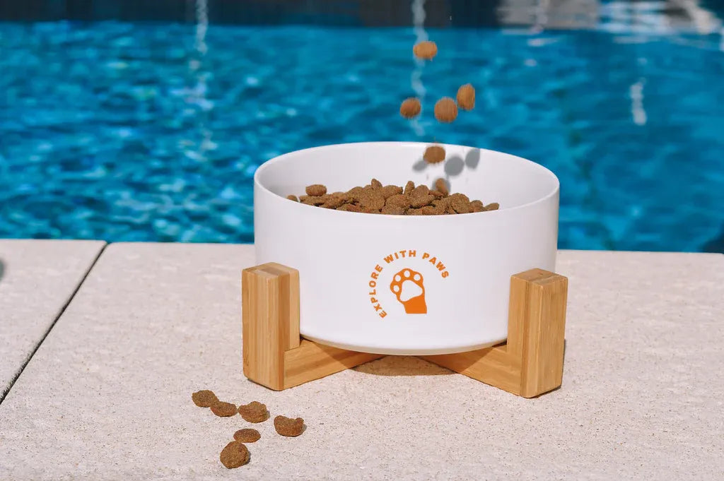 White ceramic pet bowl with a wooden stand.