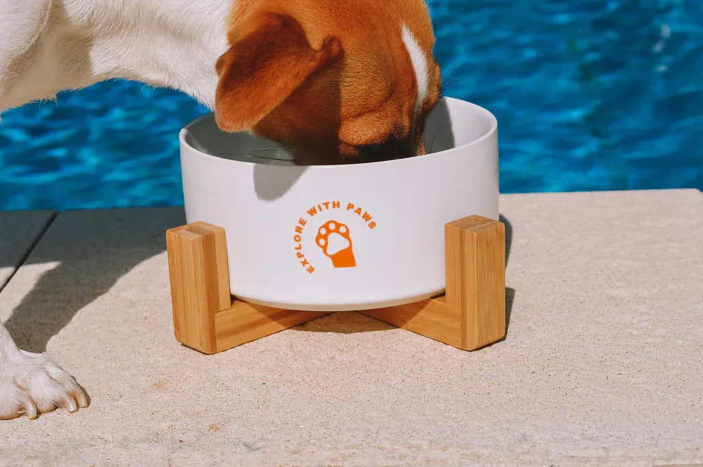 White ceramic pet bowl and wooden stand, alternate view.